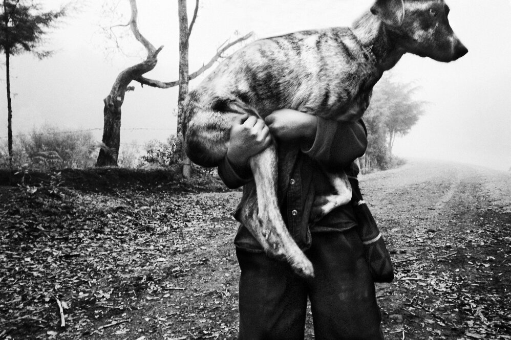 Jacob Aue Sobol: Love in the shadows | The Independent